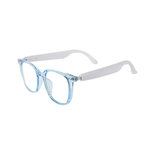 Smart Glasses